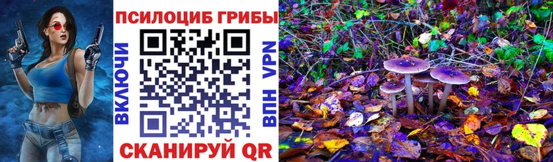 Псилоцибиновые грибы GOLDEN TEACHER Котельниково